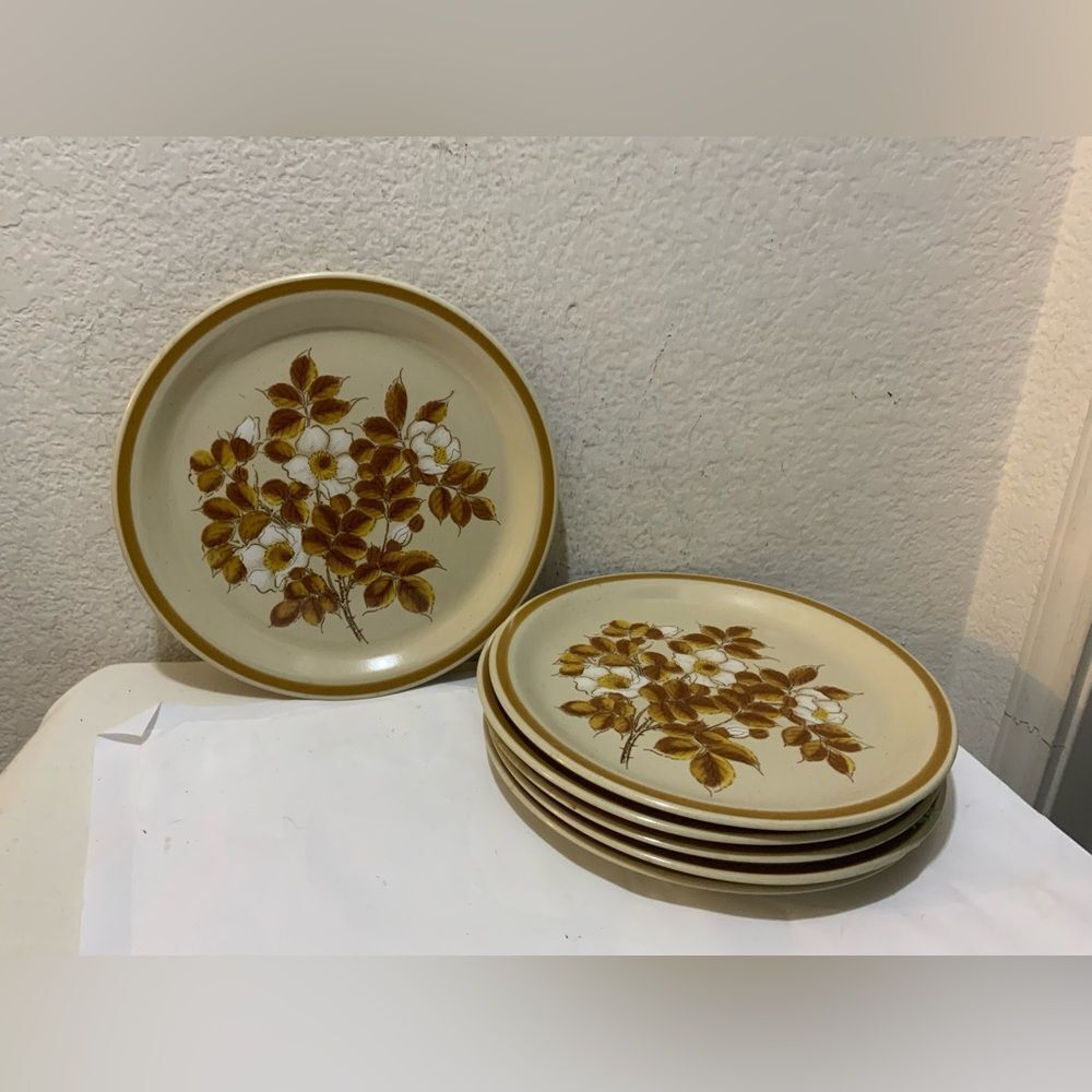 Ekco Eterna  automn Meadow Stoneware Dinner Plates – Set of 6